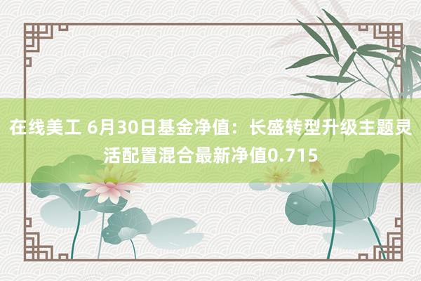 在线美工 6月30日基金净值：长盛转型升级主题灵活配置混合最新净值0.715