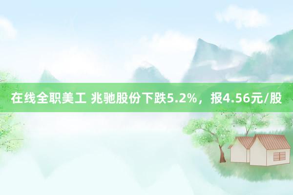 在线全职美工 兆驰股份下跌5.2%，报4.56元/股