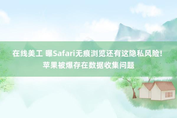 在线美工 曝Safari无痕浏览还有这隐私风险! 苹果被爆存在数据收集问题