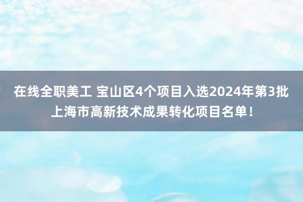 在线全职美工 宝山区4个项目入选2024年第3批上海市高新技术成果转化项目名单！