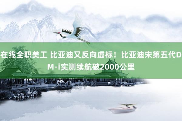 在线全职美工 比亚迪又反向虚标！比亚迪宋第五代DM-i实测续航破2000公里