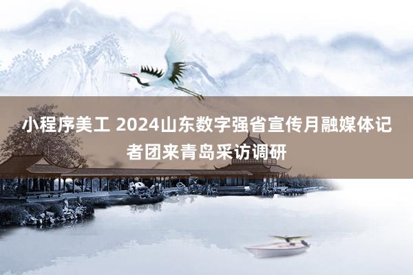 小程序美工 2024山东数字强省宣传月融媒体记者团来青岛采访调研