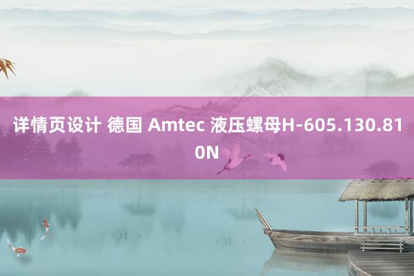 详情页设计 德国 Amtec 液压螺母H-605.130.810N